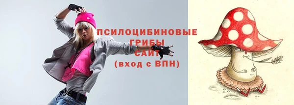 2c-b Армянск