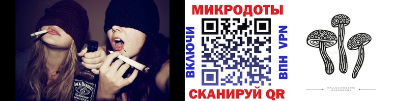 МЕГА tor  Рузаевка  даркнет как зайти  Псилоцибиновые грибы мицелий 
